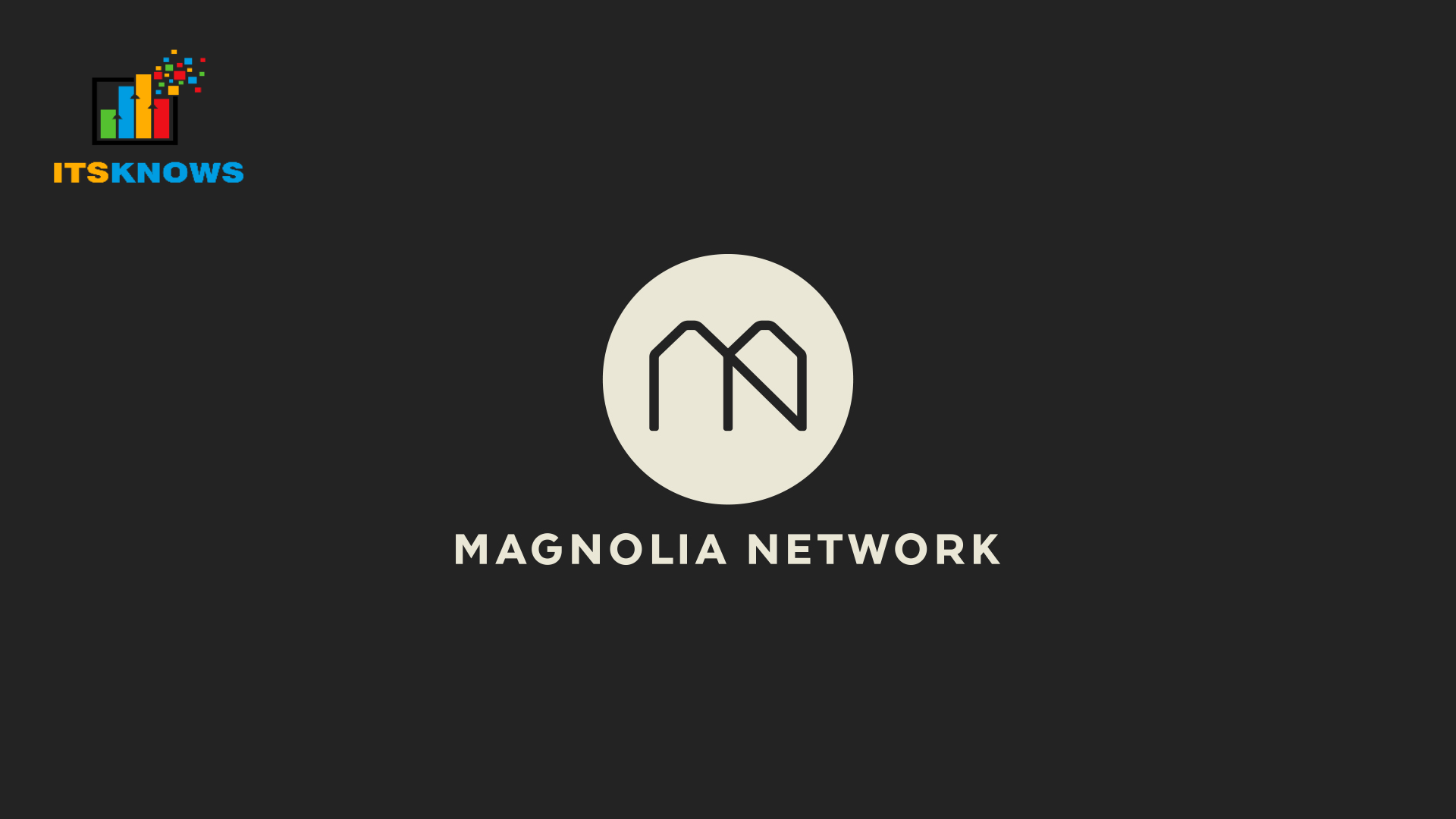 Who Owns Magnolia Network? Facts You Need to Know