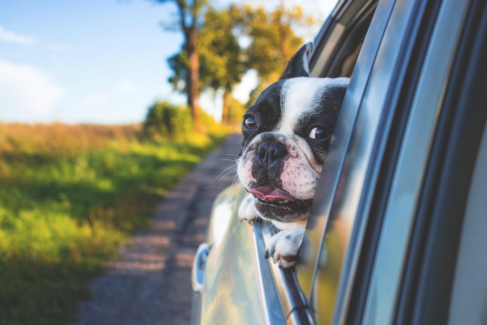 Car Window